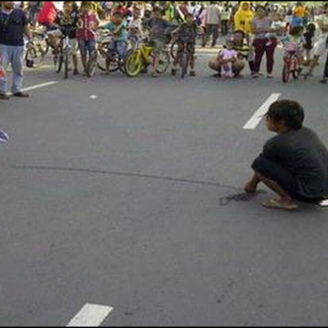 Jokowi Larang Topeng Monyet Monyetnya Dibeli Dan Dipelihara Di Ragunan