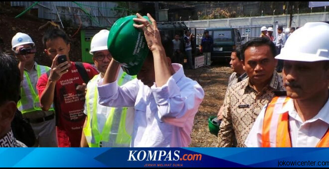 Jokowi Tebang Satu Pohon Mrt Ganti 10 Pohon