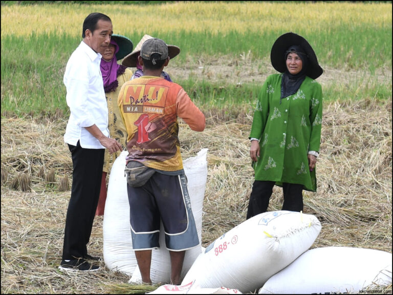 Bertemu Jokowi Petani Keluhkan Kelangkaan Pupuk Dan Hama