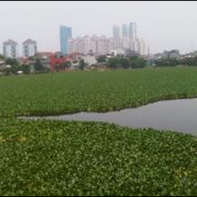 Normalisasi 12 Waduk Di Jakarta Selesai Desember