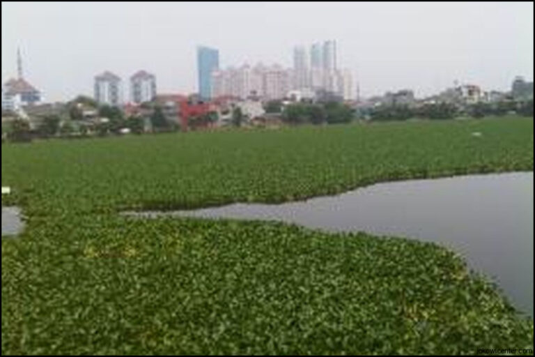 Normalisasi 12 Waduk Di Jakarta Selesai Desember