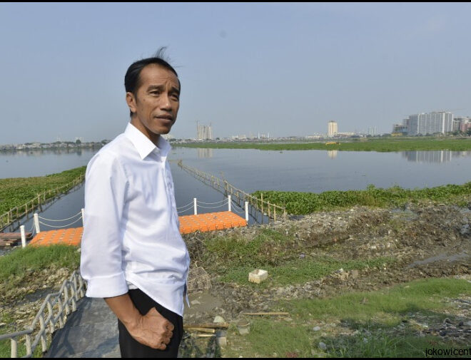 Jokowi Segera Sulap Rawa Babon Jadi Waduk