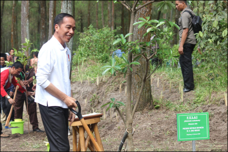 Jokowi Dan Mega Tanam Bibit Salak Di Condet