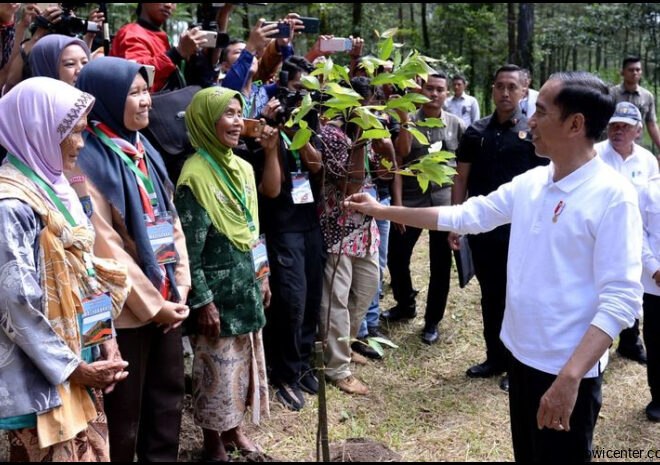 Jokowi Lebih Gampang Geser Pohon Daripada Foto Sby