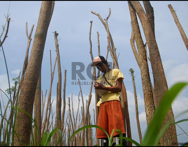 Jokowi Bangun Hutan Kota Di Waduk Riario