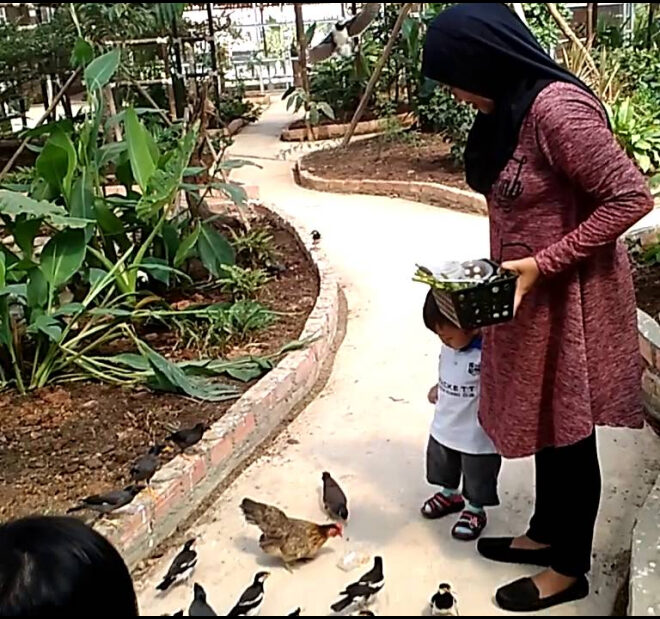Dugaan Adanya Provokator Di Taman Burung Pluit Semakin Kuat