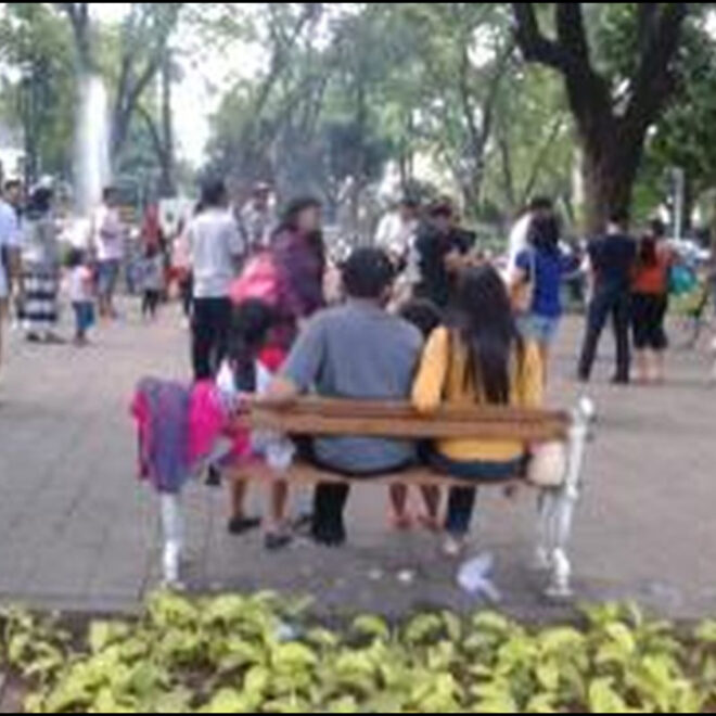 Dipakai Pacaran Jokowi Akan Ubah Bangku Taman